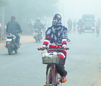 Havoc of cold, schools closed until three January