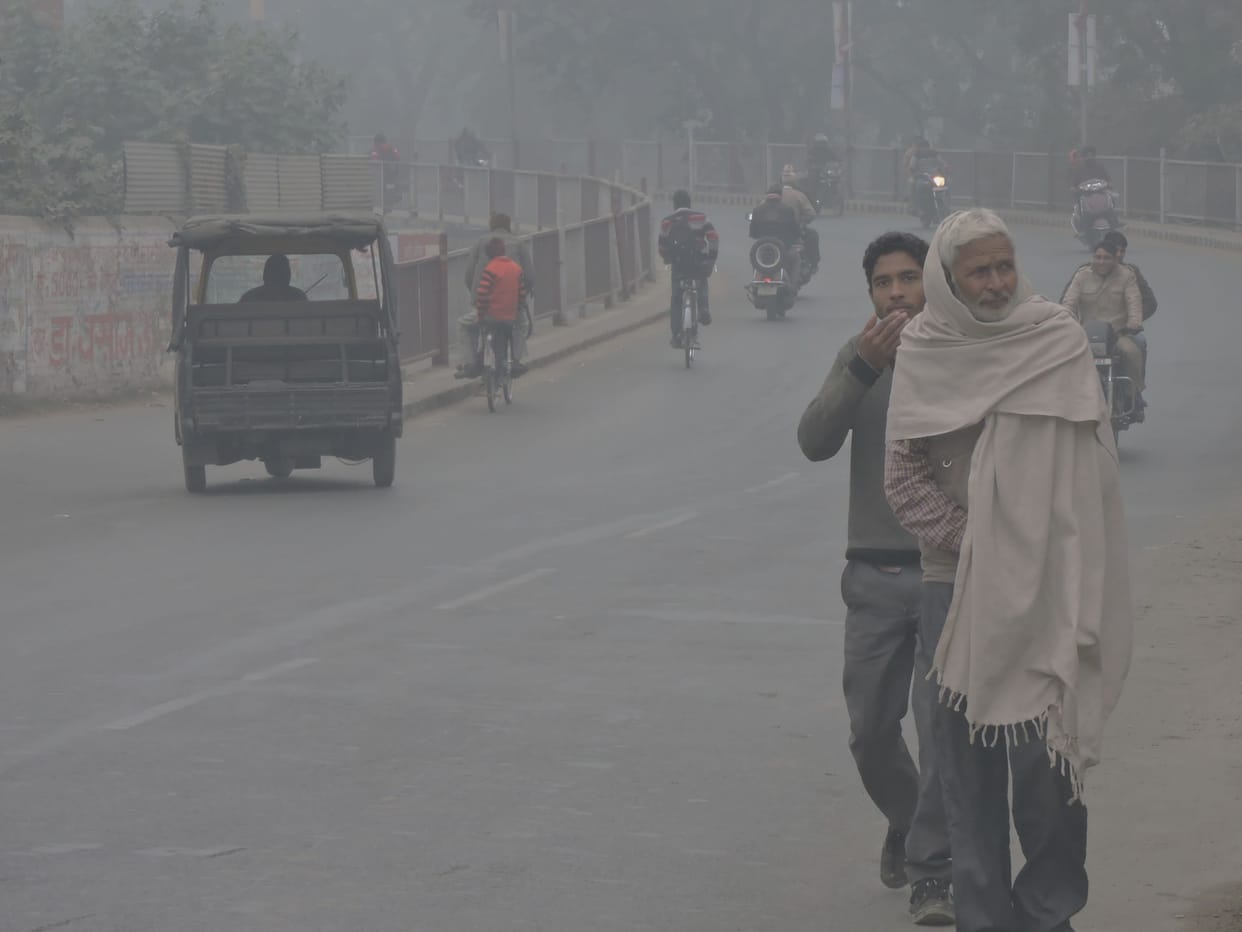 Two farmers were killed, including cold.