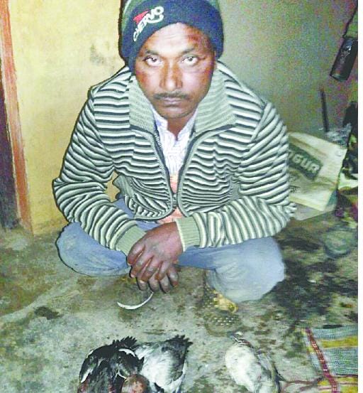 With the bird hunters nabbed