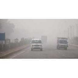 temprature,rewari,crop,cold,fog,farmer,people