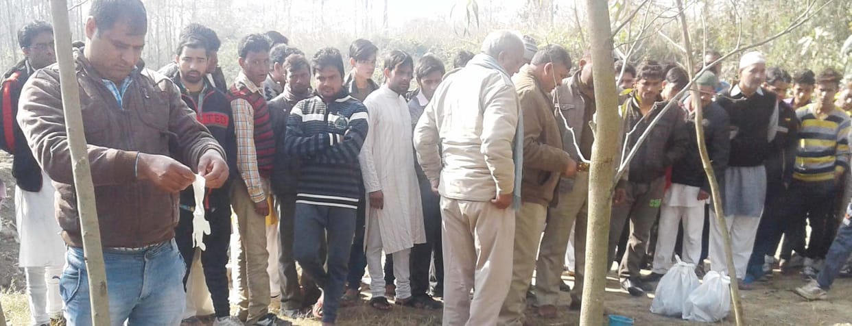 The young man slit the throat, genitals cut