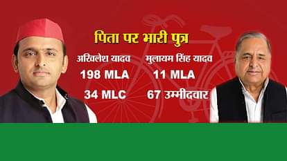 UP CM AKHILESH YADAV PROVED MAJORITY 