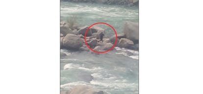 Boy trapped in sutlej river while taking selfie