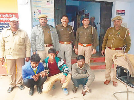 Caught stealing gang tractor trolley