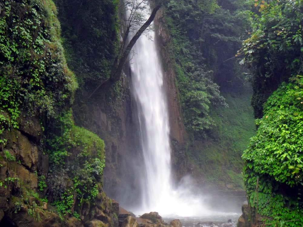 If you go here in summer, you will forget Missouri's Kamptee Fall