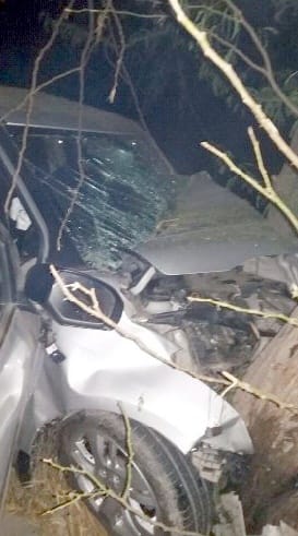 Swift car crashed into a tree, killing four members of a family