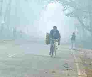 Two people died of cold