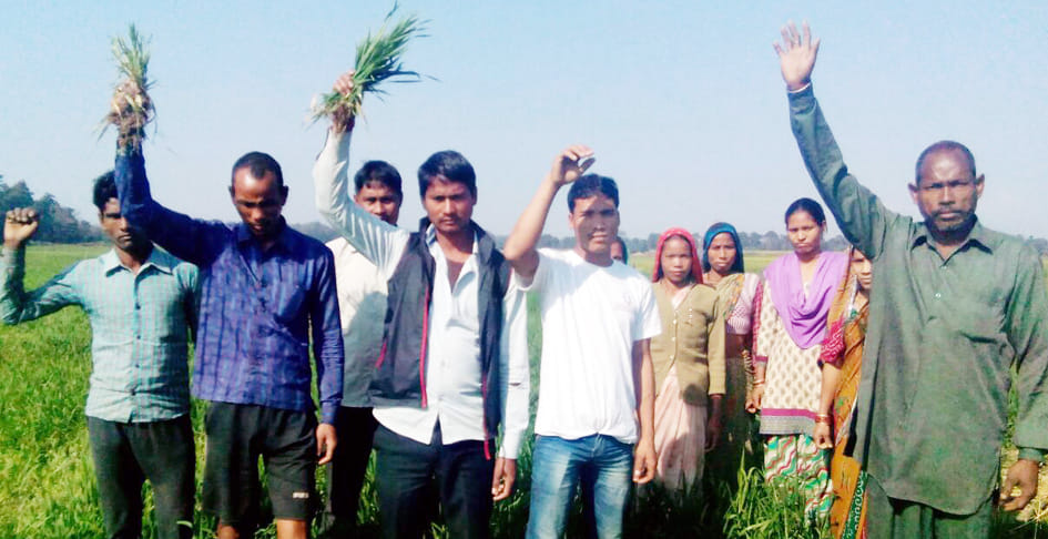 The third day in the Tharu village Blera Rundi harvest the wild elephants