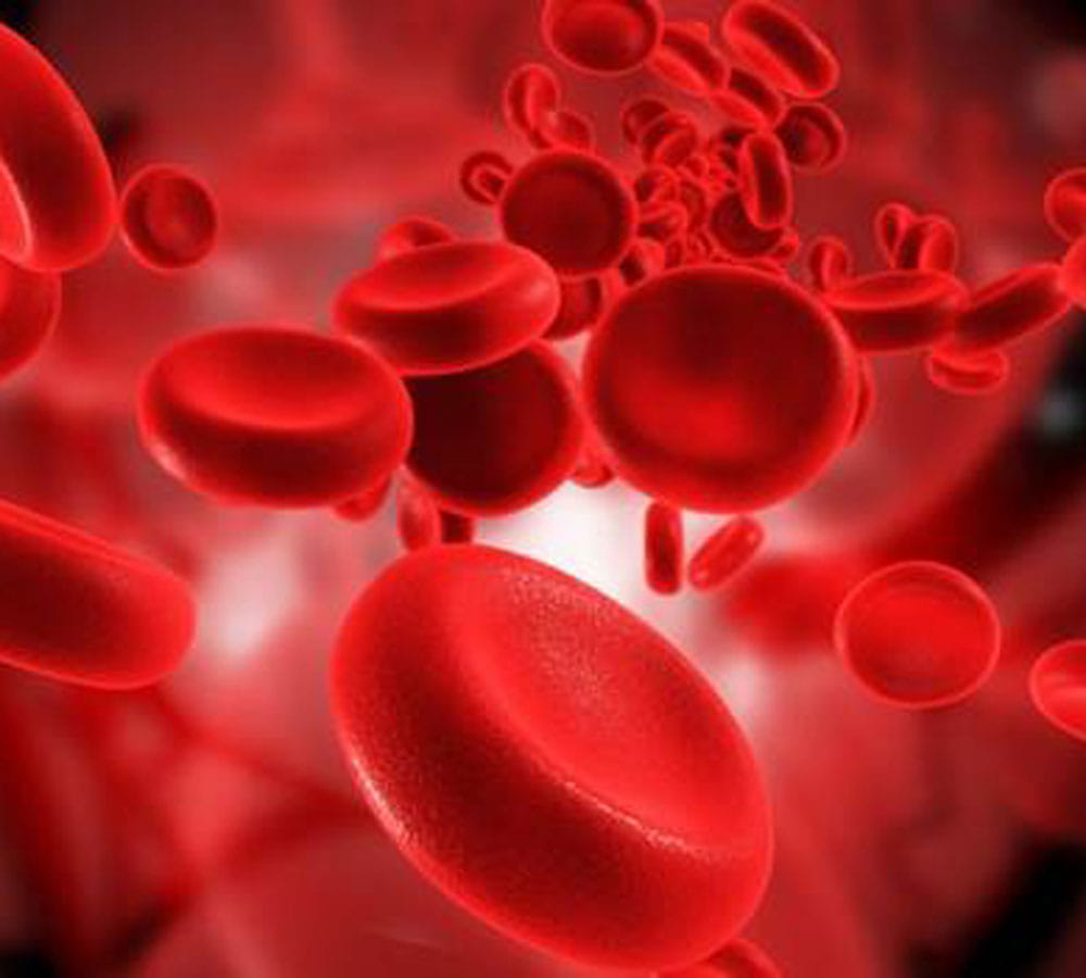 increase hemoglobin level naturally