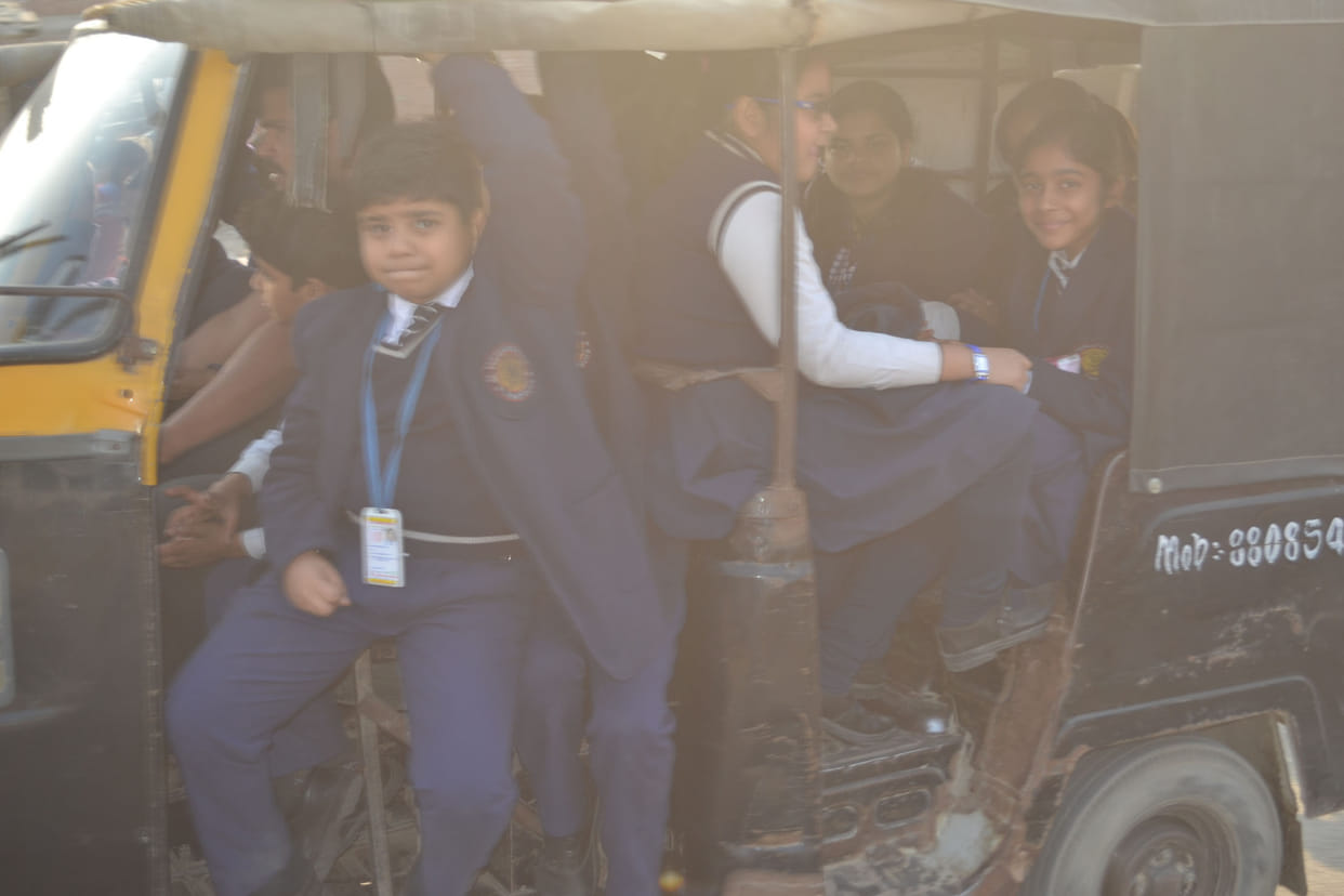 There are standard races indiscriminately devoid school vehicle