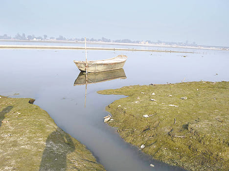 Far from the bath, rinse Ganga water is not worth getting
