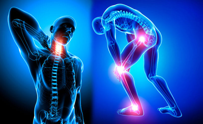 Yoga for Healthy and Strong Bones 