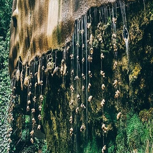 mysterious well turns everything it touches to “stone”