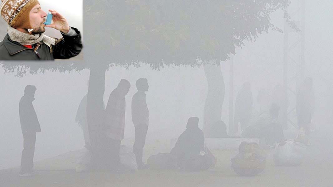 seven death in cold weather