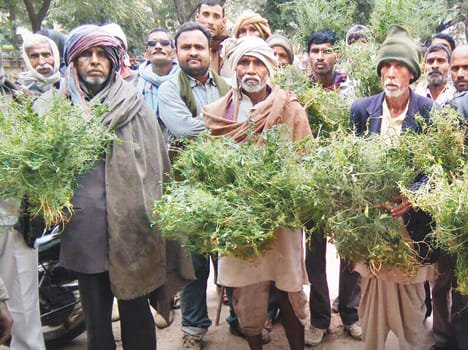 Poor farmers with crop performance