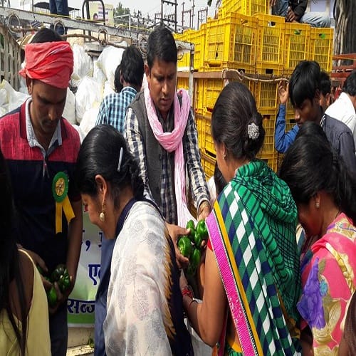 Farmers in Raipur distribute their produce for free after prices of vegetables dip post
