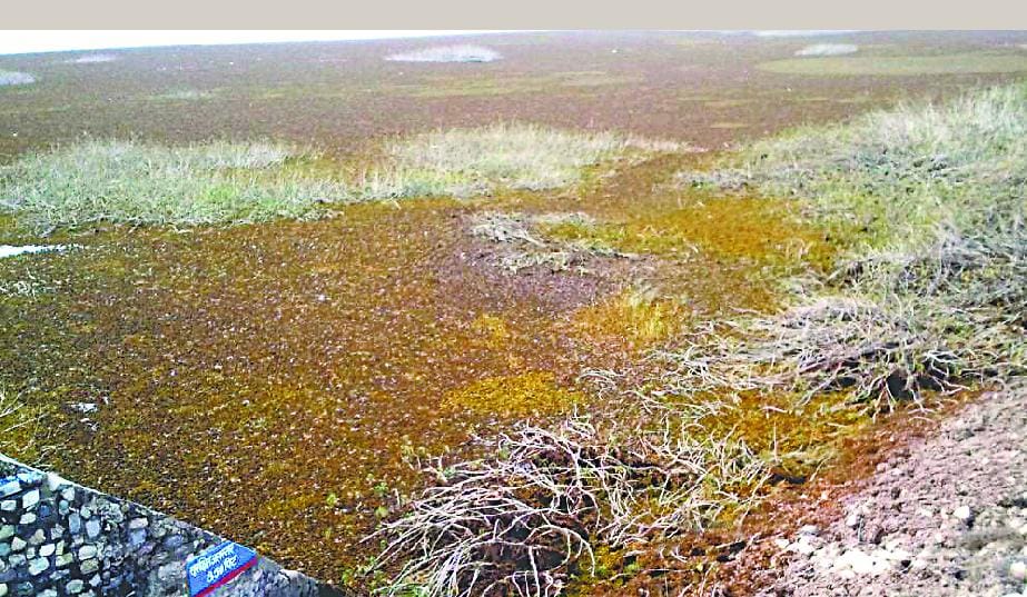 Tumdia Dam water level decreased, dry canals