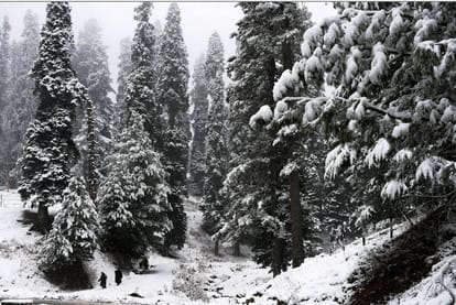 avalanche alert in kashmir