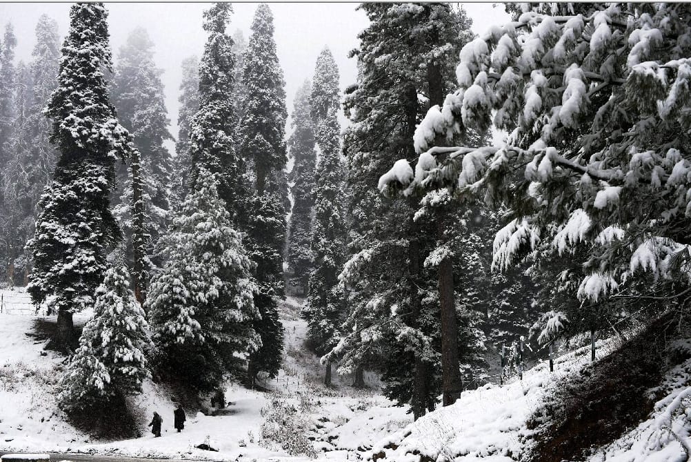 snowfall in many place of kashmir