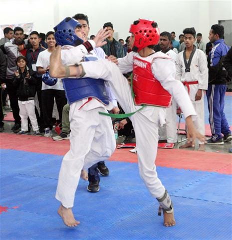 The taekwondo player