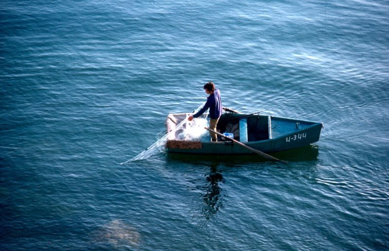 When Fish takes fishermen 55 kms into the sea