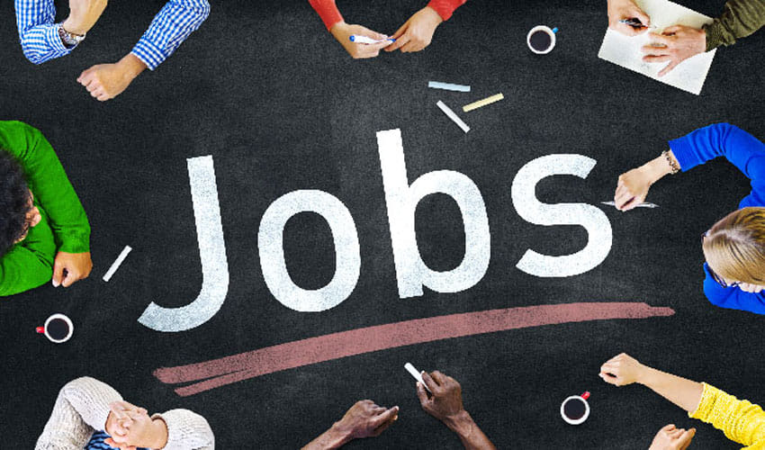 COMFED Recruitment Sarkari Naukri 2020: 142 posts vacant for account & marketing assistant, apply here for sarkari job