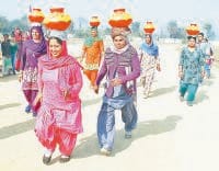 matka, race, kamla, win