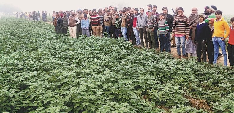 Leopard attack, 12 injured farmer