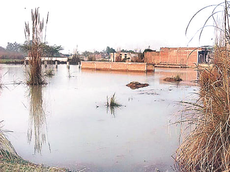 Tap bursts 50 acres of wheat crop