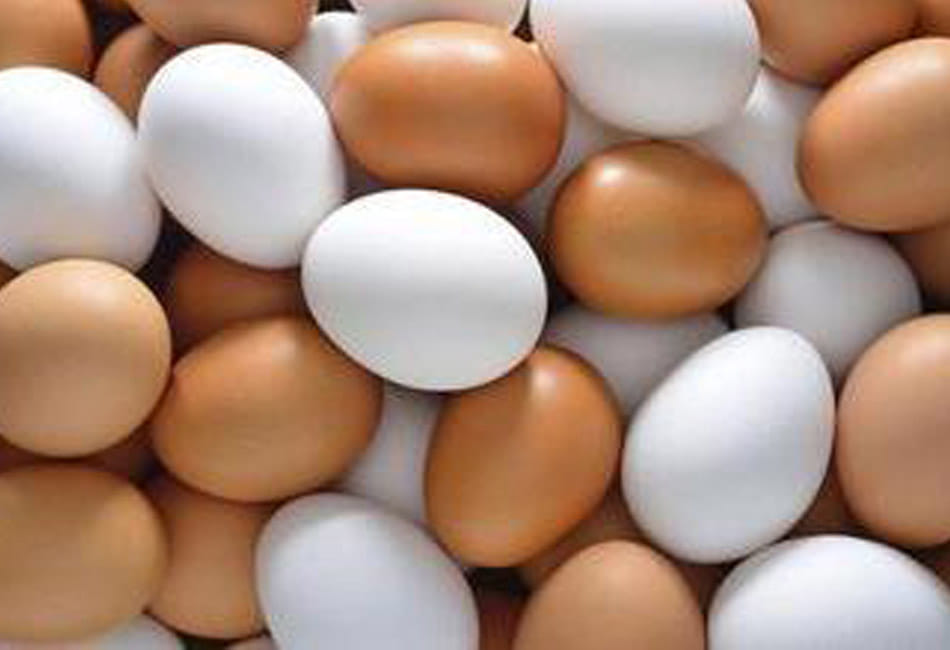 chinese egg sales alerts