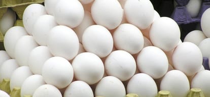 chinese egg sales alerts