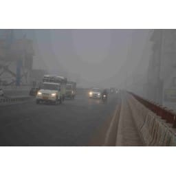 Fog, Fog in Sirsa, cold, train late, Sirsa