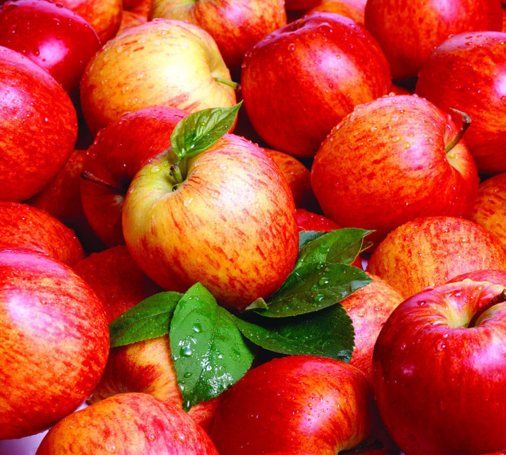 8 super foods that will suppress your appetite and controls weight