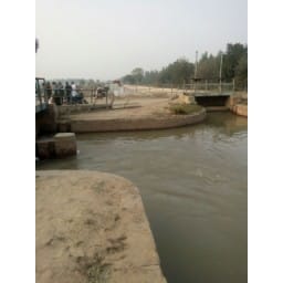 Protest, protest in Sirsa, farmers, miner, Sirsa