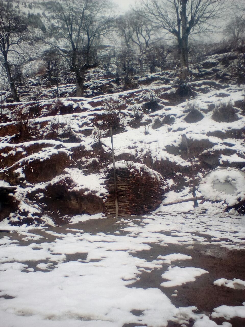 pangi raod block