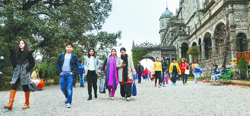 news of shimla city