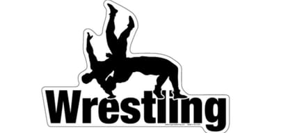 story of wrestler priya of himachal