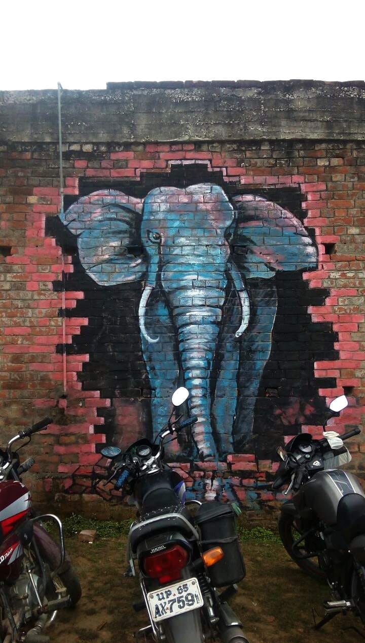 students decorated the wall by 3d paintings