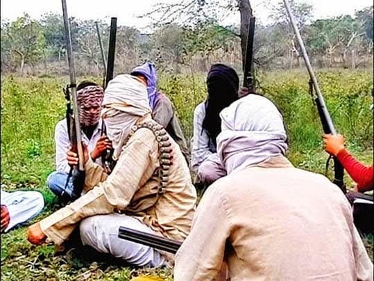 dacoit babuli cole active befor up election