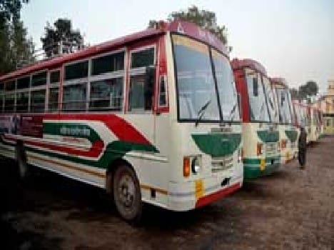 lohia bus painted in sp colour