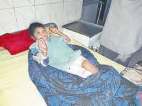 fatehabad, not in  home, dogs cuts child,  fatehabad,  harayana