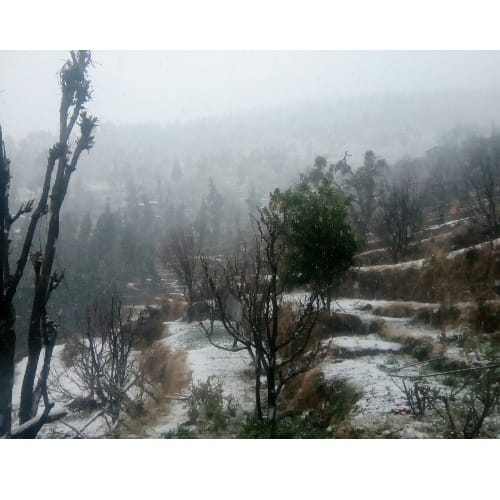 snowfall and rain started in himachal pradesh