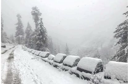 J&K: Avalanche hits army camp in Sonamarg