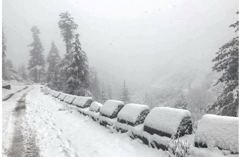 NIT student stranded in 7 feet of snow at Shikari Devi.
