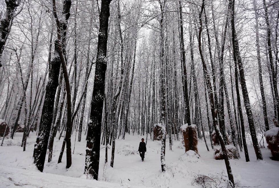 snowfall in many place of kashmir valley