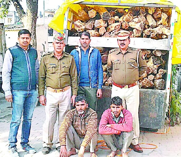 Well-laden carts seized, traffickers cede its