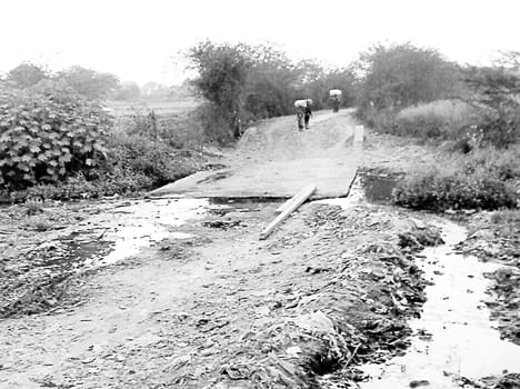 Falsely promising development routes