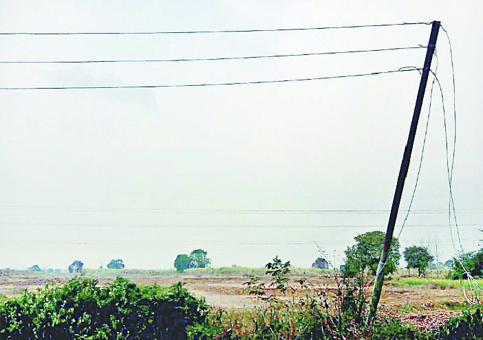 Grew cold from the rain, with water logging problems