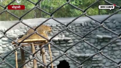 ANIMALS AT CHATBHID ZOO ENJOYS SUNSHINE 