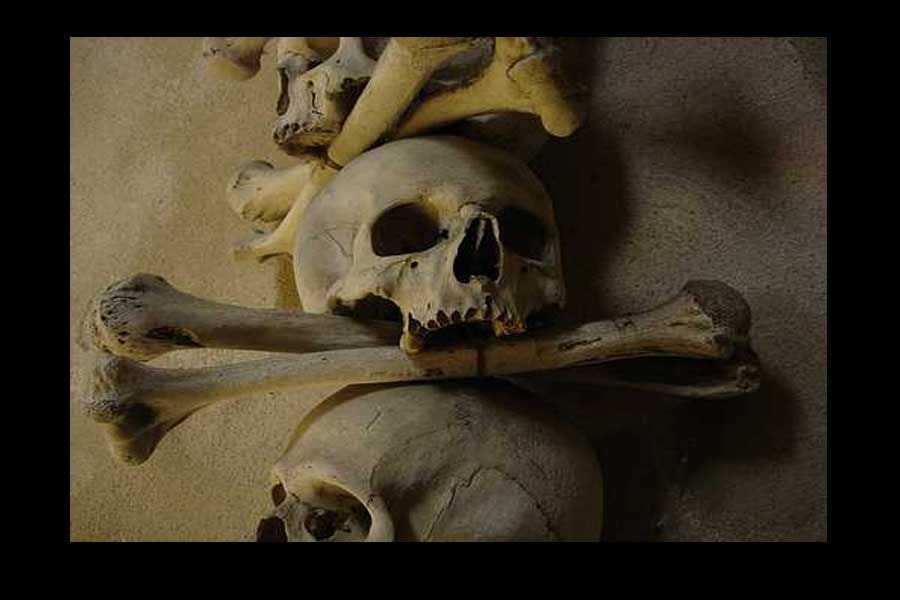 9 inauspicious thing according to narad puran